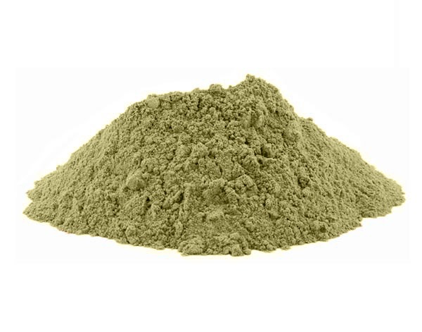 Bearberry Extract Powder