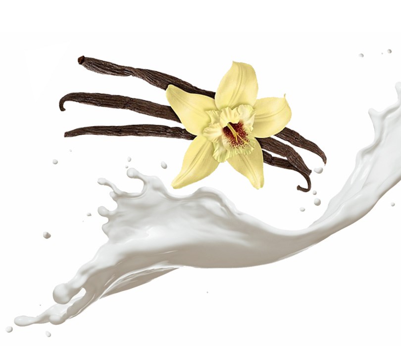 Vanilla Milk Fragrance Oil