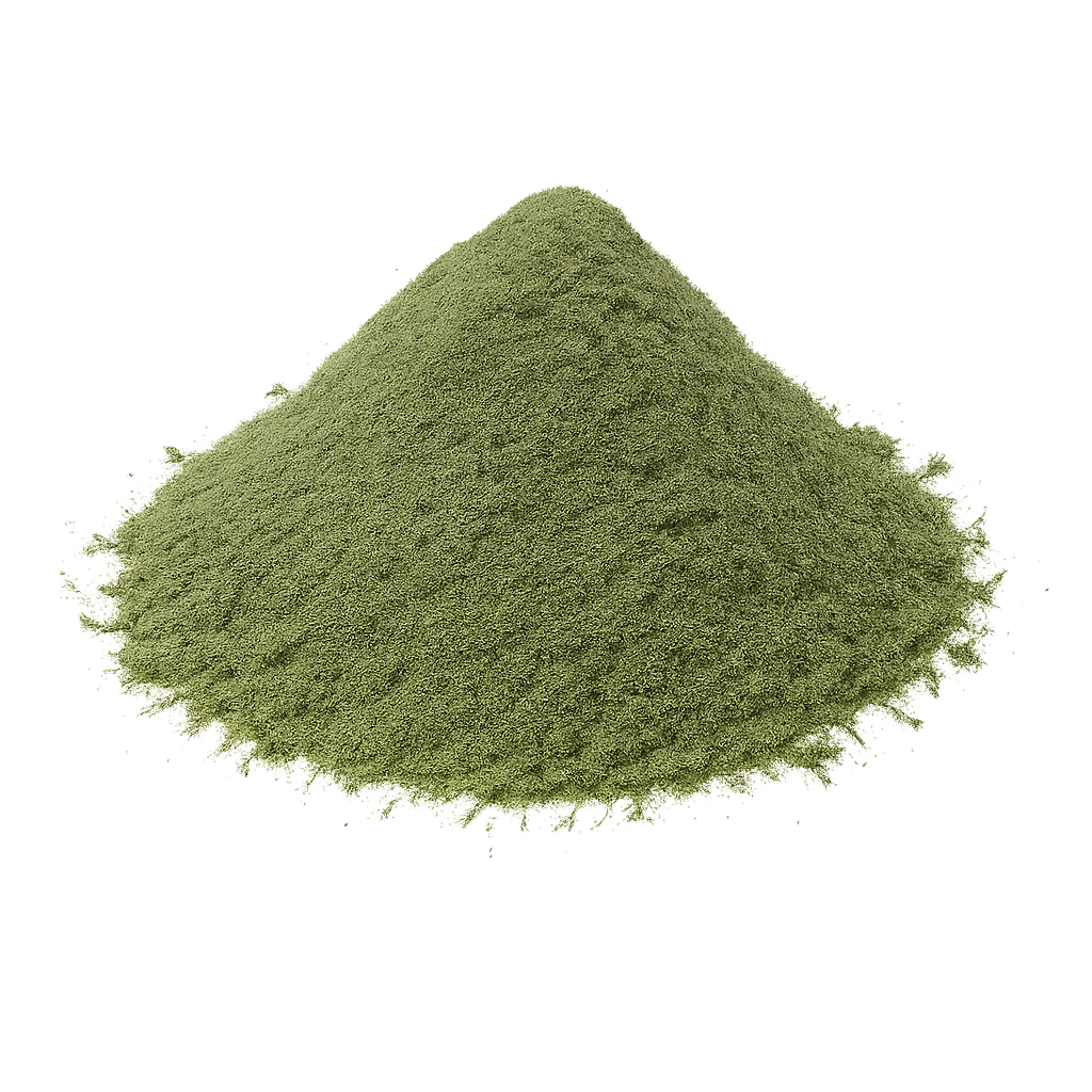 Ginkgo Biloba Powder