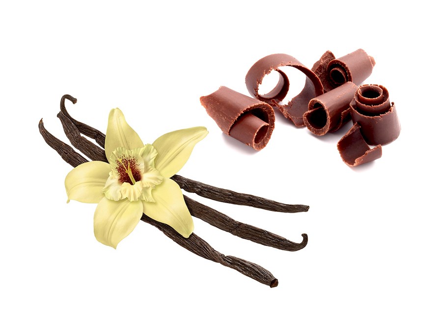 Chocolate Vanilla Fragrance Oil | The Glory of Asia Industrial Company