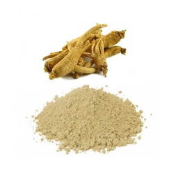 [GNE-9230] Ginseng Extract Powder